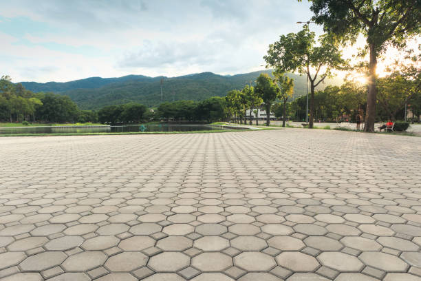 Best Residential Paver Driveway  in Concord, MI